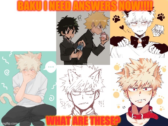 BAKU WTF MAN -Kiri | BAKU I NEED ANSWERS NOW!!!! WHAT ARE THESE? | image tagged in mha | made w/ Imgflip meme maker