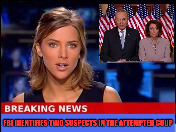 Trouble Makers | FBI IDENTIFIES TWO SUSPECTS IN THE ATTEMPTED COUP | image tagged in breaking news,nancy pelosi,chuck schumer | made w/ Imgflip meme maker