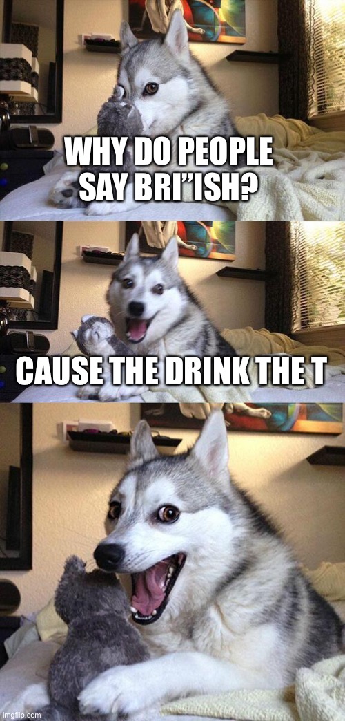 Briish | WHY DO PEOPLE SAY BRI’’ISH? CAUSE THE DRINK THE T | image tagged in memes,bad pun dog,british,dad joke dog,dad joke,fun | made w/ Imgflip meme maker