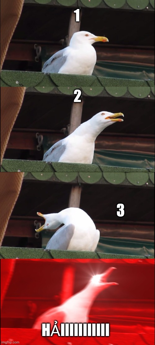 Inhaling Seagull | 1; 2; 3; HẢIIIIIIIIIII | image tagged in memes,inhaling seagull | made w/ Imgflip meme maker