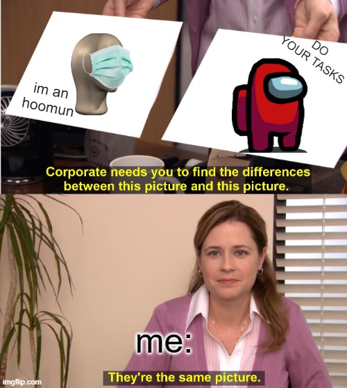 They're The Same Picture | DO YOUR TASKS; im an hoomun; me: | image tagged in memes,they're the same picture | made w/ Imgflip meme maker
