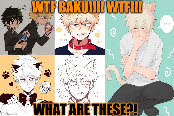BAKU WHAT IS THIS!? | WTF BAKU!!!! WTF!!! WHAT ARE THESE?! | image tagged in mha,bakugo,wtf | made w/ Imgflip meme maker