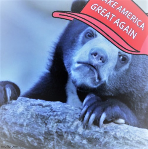 MAGA confession bear screwed | image tagged in maga confession bear screwed | made w/ Imgflip meme maker