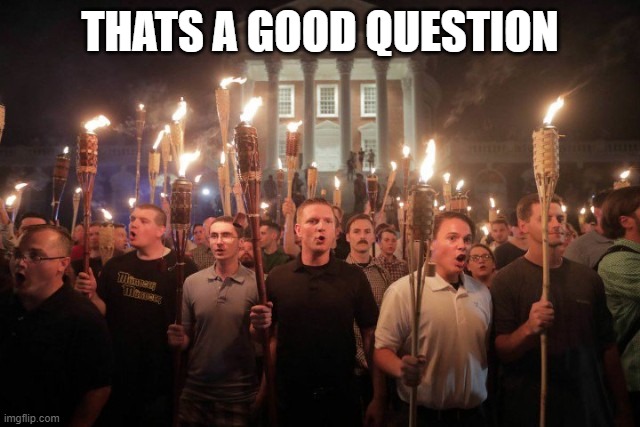 Virginia Nazi's | THATS A GOOD QUESTION | image tagged in virginia nazi's | made w/ Imgflip meme maker