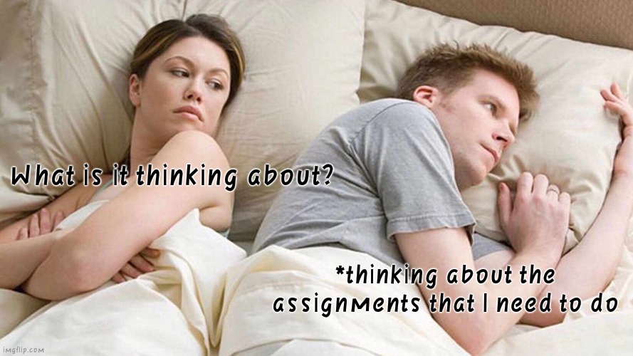 I Bet He's Thinking About Other Women Meme | What is it thinking about? *thinking about the assignments that I need to do | image tagged in memes,i bet he's thinking about other women | made w/ Imgflip meme maker