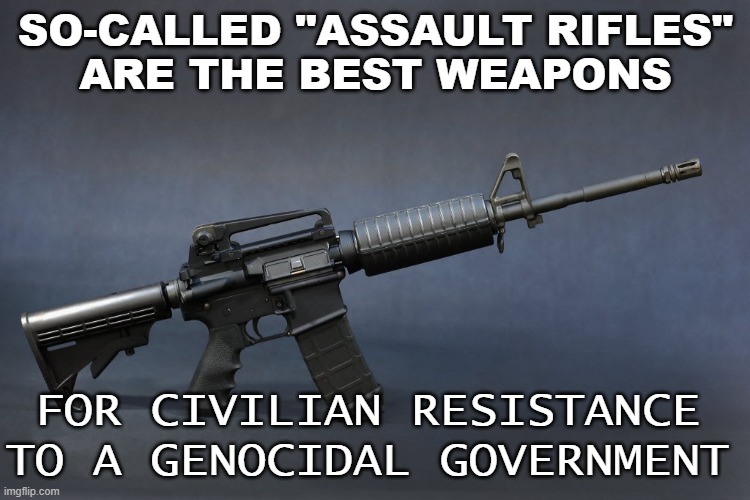 So-called "assault rifles" are the best weapons for civilian resistance to a genocidal government. | SO-CALLED "ASSAULT RIFLES"
ARE THE BEST WEAPONS; FOR CIVILIAN RESISTANCE TO A GENOCIDAL GOVERNMENT | image tagged in ar-15 | made w/ Imgflip meme maker