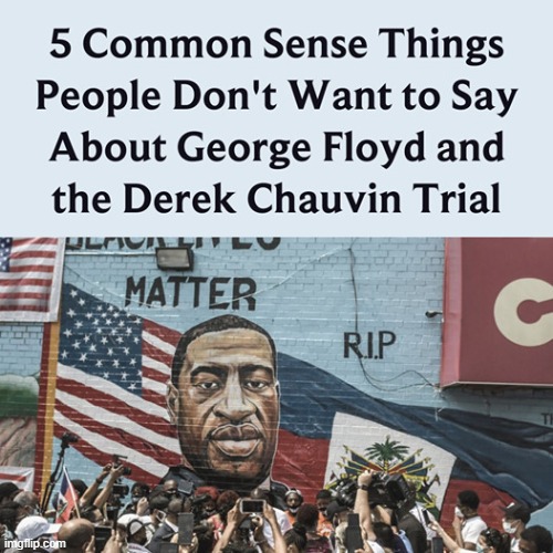 but what r the common-sense things, say the quiet part out loud in the chats maga | image tagged in maga,george floyd,racism,police brutality,repost,black lives matter | made w/ Imgflip meme maker