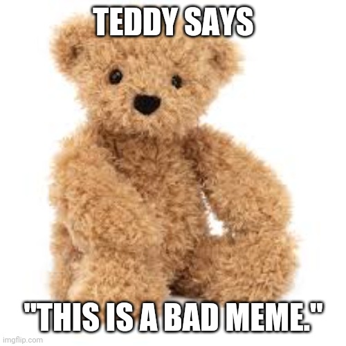 this is a bad meme | TEDDY SAYS "THIS IS A BAD MEME." | image tagged in this is a bad meme | made w/ Imgflip meme maker