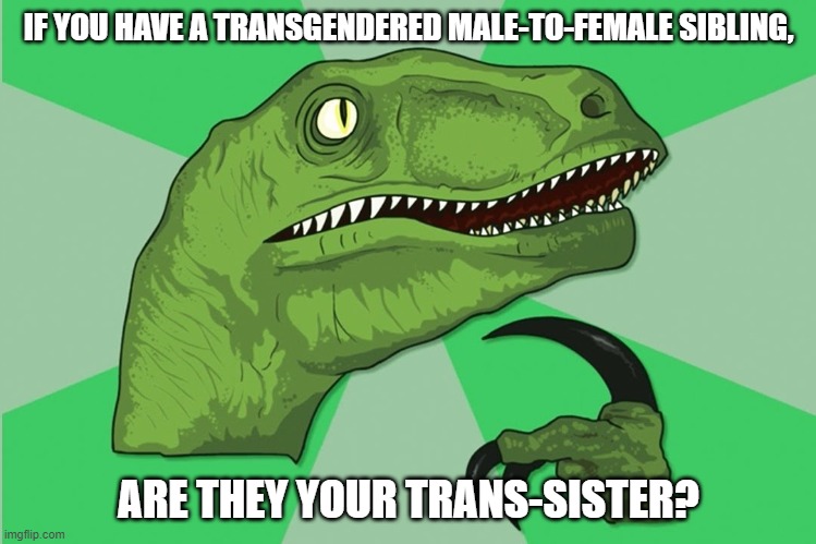 new philosoraptor | IF YOU HAVE A TRANSGENDERED MALE-TO-FEMALE SIBLING, ARE THEY YOUR TRANS-SISTER? | image tagged in new philosoraptor | made w/ Imgflip meme maker