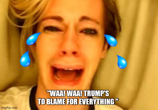 "WAA! WAA! TRUMP'S TO BLAME FOR EVERYTHING " | made w/ Imgflip meme maker