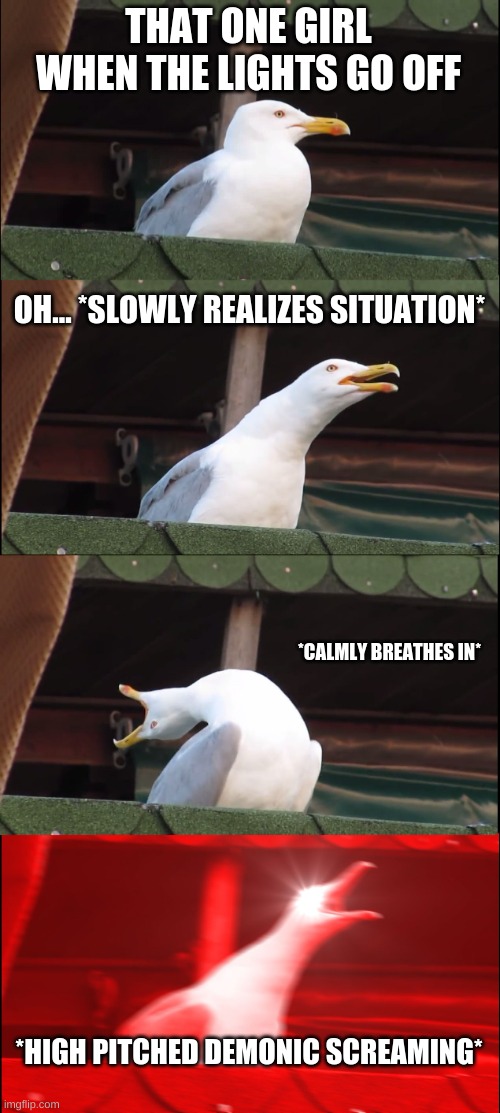 Theonegirl | THAT ONE GIRL WHEN THE LIGHTS GO OFF; OH... *SLOWLY REALIZES SITUATION*; *CALMLY BREATHES IN*; *HIGH PITCHED DEMONIC SCREAMING* | image tagged in memes,inhaling seagull | made w/ Imgflip meme maker