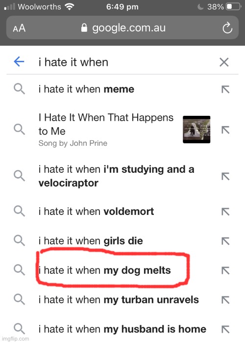 Does anyone‘s dog melt? | image tagged in funny memes,funny,search | made w/ Imgflip meme maker