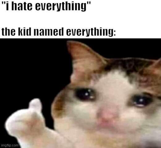 Sad cat thumbs up | "i hate everything"; the kid named everything: | image tagged in sad cat thumbs up | made w/ Imgflip meme maker