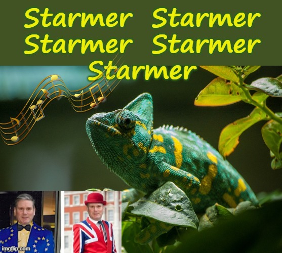 Starmer Chameleon | image tagged in labourisdead | made w/ Imgflip meme maker