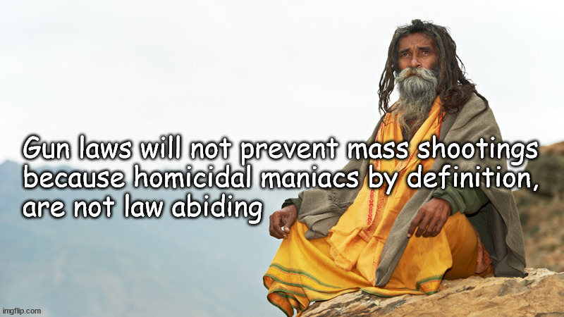 Law abiding homicidal maniacs? | image tagged in gun control,politics | made w/ Imgflip meme maker