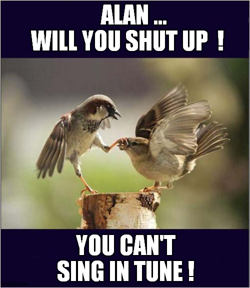 Some Birds Need To Be Told ! | ALAN ...
 WILL YOU SHUT UP  ! YOU CAN'T SING IN TUNE ! | image tagged in birds,bird song,out of tune | made w/ Imgflip meme maker
