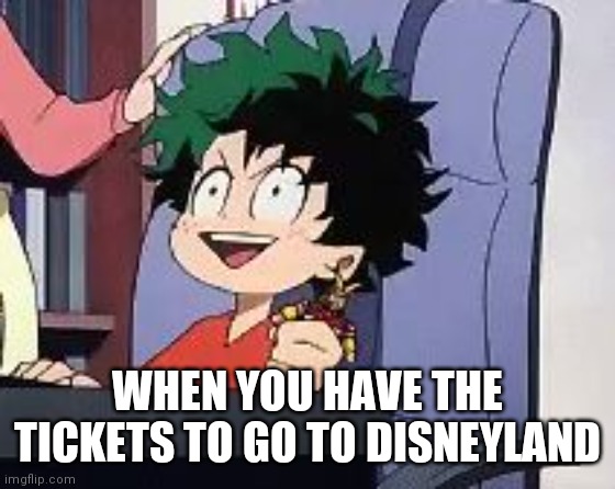 Exited Deku | WHEN YOU HAVE THE TICKETS TO GO TO DISNEYLAND | image tagged in exited deku | made w/ Imgflip meme maker
