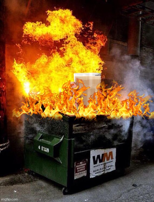 Dumpster Fire | image tagged in dumpster fire | made w/ Imgflip meme maker