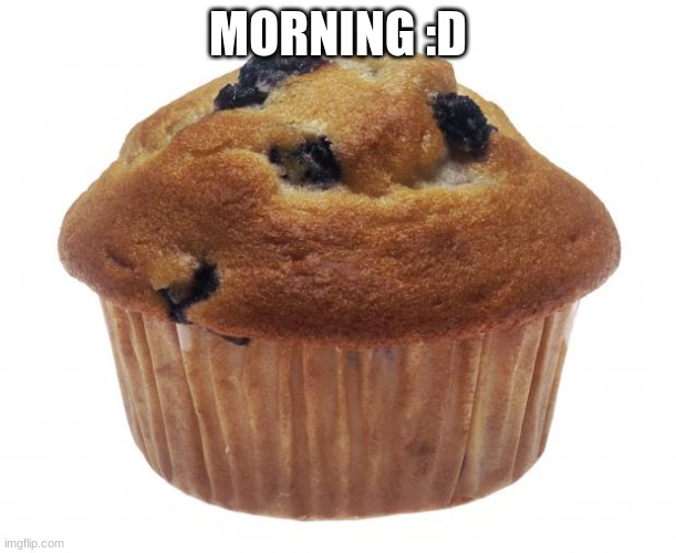 how is everyone? | MORNING :D | image tagged in popular opinion muffin | made w/ Imgflip meme maker