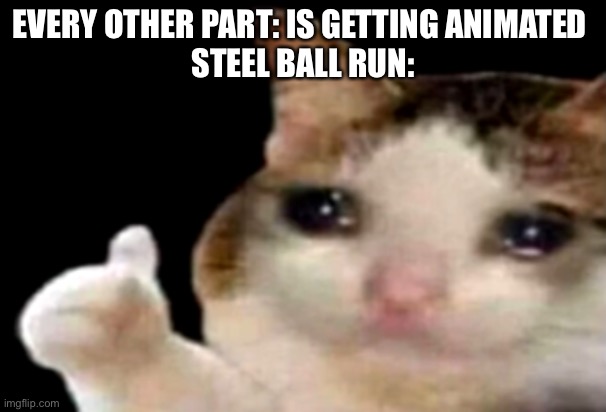 Stone ocean is getting animated and jojo lion as well | EVERY OTHER PART: IS GETTING ANIMATED 
STEEL BALL RUN: | image tagged in sad cat thumbs up,steel ball run,jojo | made w/ Imgflip meme maker