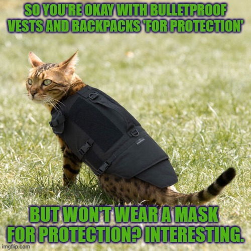 So you're interested in protection but not always? Interesting. | image tagged in face mask,protection,school shootings,gun control | made w/ Imgflip meme maker
