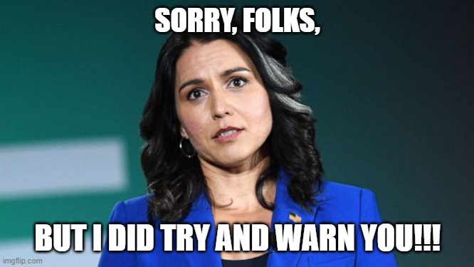 Tulsi tried to warn us!!!! | SORRY, FOLKS, BUT I DID TRY AND WARN YOU!!! | image tagged in tulsi gabbard,stolen election,nwo,usurpers | made w/ Imgflip meme maker