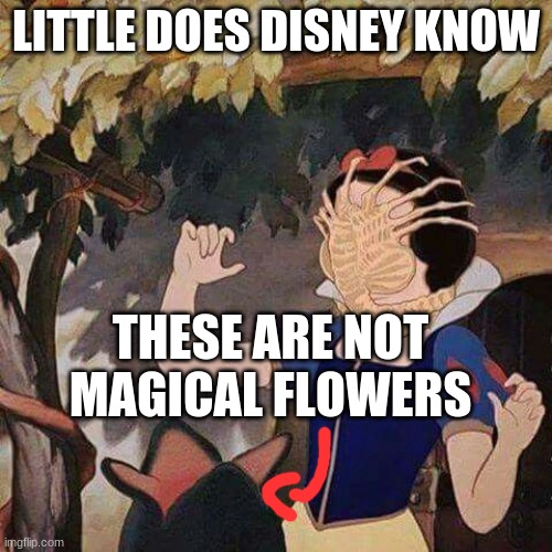 Xenomorph Princess | LITTLE DOES DISNEY KNOW; THESE ARE NOT MAGICAL FLOWERS | image tagged in xenomorph princess,xenomorph,disney,lol,facehugger | made w/ Imgflip meme maker