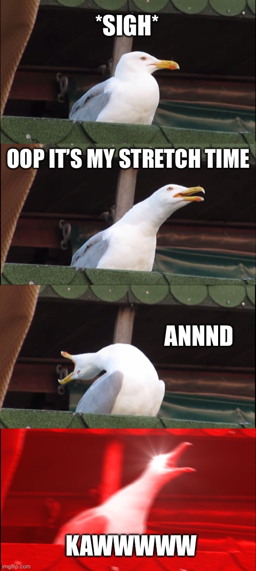 Stretch time! | *SIGH*; OOP IT’S MY STRETCH TIME; ANNND; KAWWWWW | image tagged in memes,inhaling seagull | made w/ Imgflip meme maker