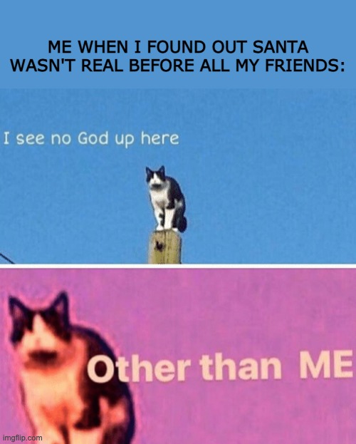 Hail pole cat | ME WHEN I FOUND OUT SANTA WASN'T REAL BEFORE ALL MY FRIENDS: | image tagged in hail pole cat,memes,funny memes | made w/ Imgflip meme maker