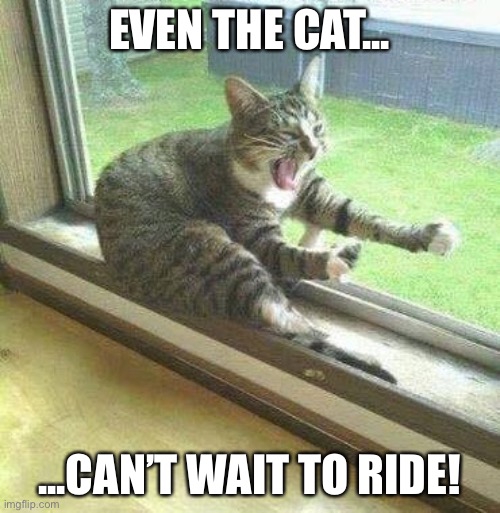 Cant wait to ride | EVEN THE CAT... ...CAN’T WAIT TO RIDE! | image tagged in motorcycle cat | made w/ Imgflip meme maker