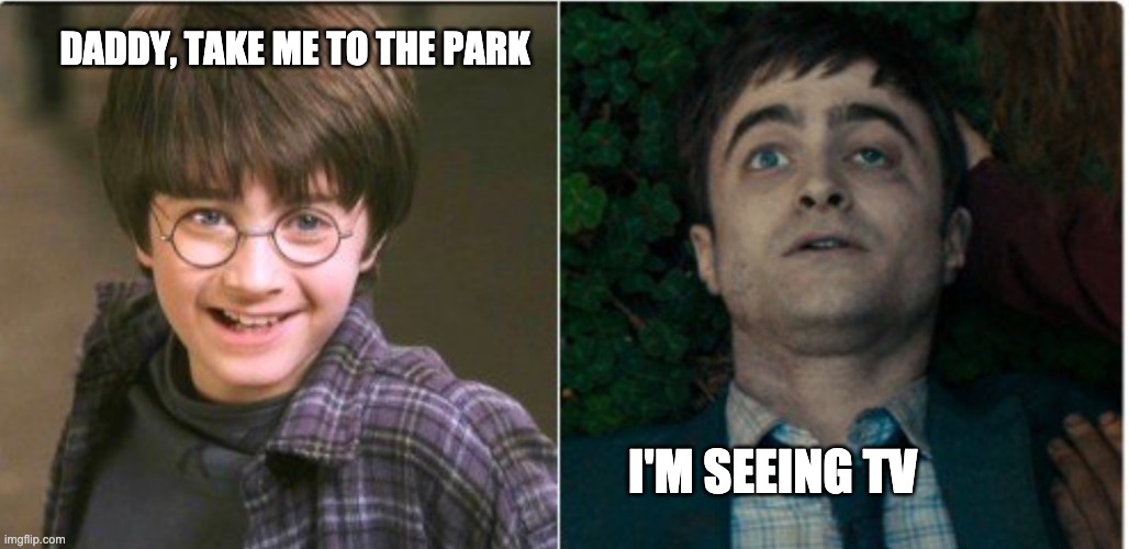 Harry potter before and after | DADDY, TAKE ME TO THE PARK; I'M SEEING TV | image tagged in harry potter before and after | made w/ Imgflip meme maker