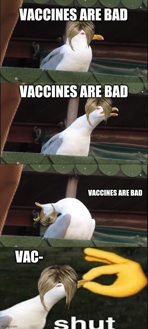 Inhaling Seagull | VACCINES ARE BAD; VACCINES ARE BAD; VACCINES ARE BAD; VAC- | image tagged in memes,inhaling seagull | made w/ Imgflip meme maker