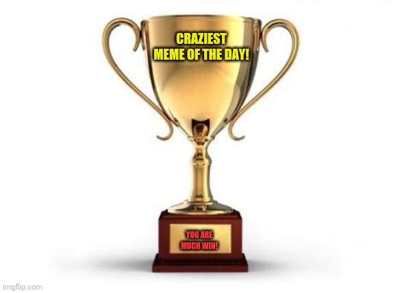 Trophy | CRAZIEST MEME OF THE DAY! YOU ARE MUCH WIN! | image tagged in trophy | made w/ Imgflip meme maker