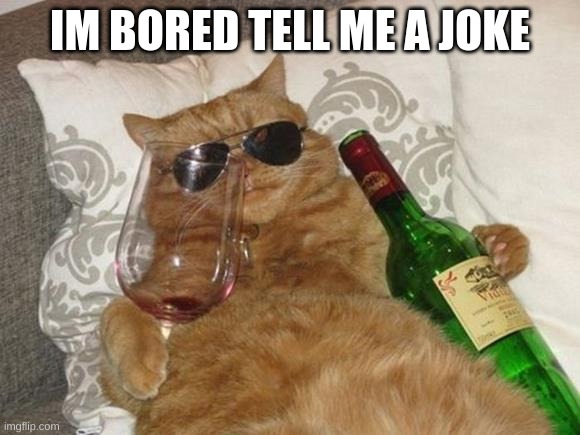 Funny Cat Birthday | IM BORED TELL ME A JOKE | image tagged in funny cat birthday | made w/ Imgflip meme maker