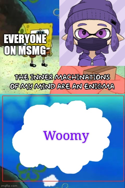 inner machinations of my mind are an enigma | EVERYONE ON MSMG; Woomy | image tagged in inner machinations of my mind are an enigma | made w/ Imgflip meme maker