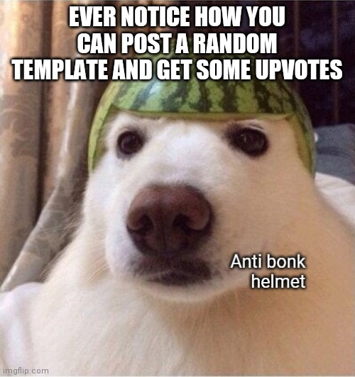 Anti bonk helmet | EVER NOTICE HOW YOU CAN POST A RANDOM TEMPLATE AND GET SOME UPVOTES | image tagged in anti bonk helmet | made w/ Imgflip meme maker