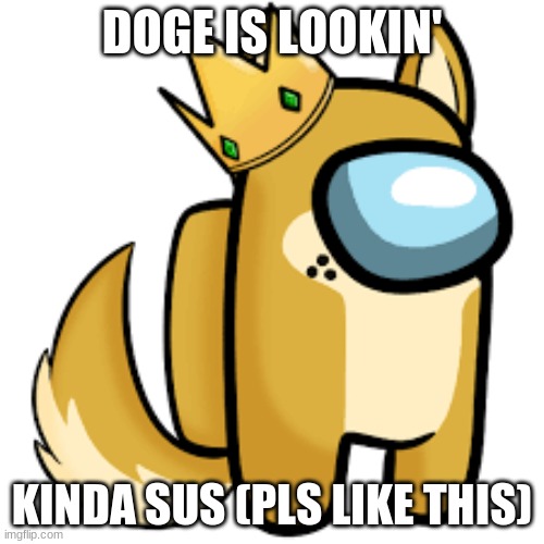 My Doggo kinda sus | DOGE IS LOOKIN'; KINDA SUS (PLS LIKE THIS) | image tagged in doge | made w/ Imgflip meme maker