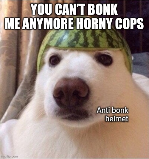 Trash | YOU CAN’T BONK ME ANYMORE HORNY COPS | image tagged in anti bonk helmet | made w/ Imgflip meme maker