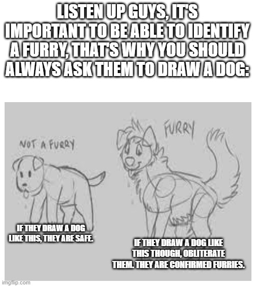 A tip to the Anti-Furry stream | LISTEN UP GUYS, IT'S IMPORTANT TO BE ABLE TO IDENTIFY A FURRY, THAT'S WHY YOU SHOULD ALWAYS ASK THEM TO DRAW A DOG:; IF THEY DRAW A DOG LIKE THIS, THEY ARE SAFE. IF THEY DRAW A DOG LIKE THIS THOUGH, OBLITERATE THEM. THEY ARE CONFIRMED FURRIES. | image tagged in blank white template,furry,anti furry | made w/ Imgflip meme maker