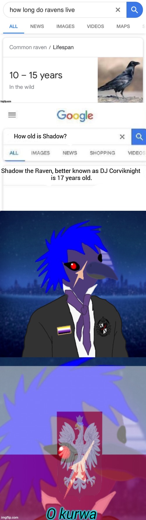 My feathersona isn't an OC but- | How old is Shadow? Shadow the Raven, better known as DJ Corviknight 
is 17 years old. | image tagged in how old is,how long does,google search,oh no anyway | made w/ Imgflip meme maker