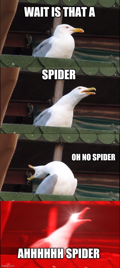 spider noooo | WAIT IS THAT A; SPIDER; OH NO SPIDER; AHHHHHH SPIDER | image tagged in memes,inhaling seagull | made w/ Imgflip meme maker