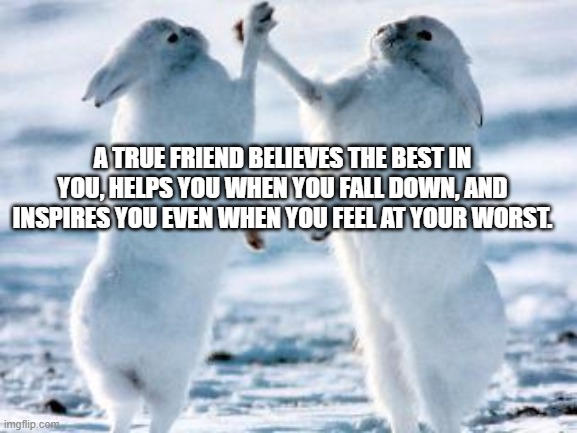 Friend | A TRUE FRIEND BELIEVES THE BEST IN YOU, HELPS YOU WHEN YOU FALL DOWN, AND INSPIRES YOU EVEN WHEN YOU FEEL AT YOUR WORST. | image tagged in best friends | made w/ Imgflip meme maker
