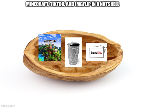 true | MINECRAFT, TIKTOK, AND IMGFLIP IN A NUTSHELL | image tagged in tik tok sucks | made w/ Imgflip meme maker