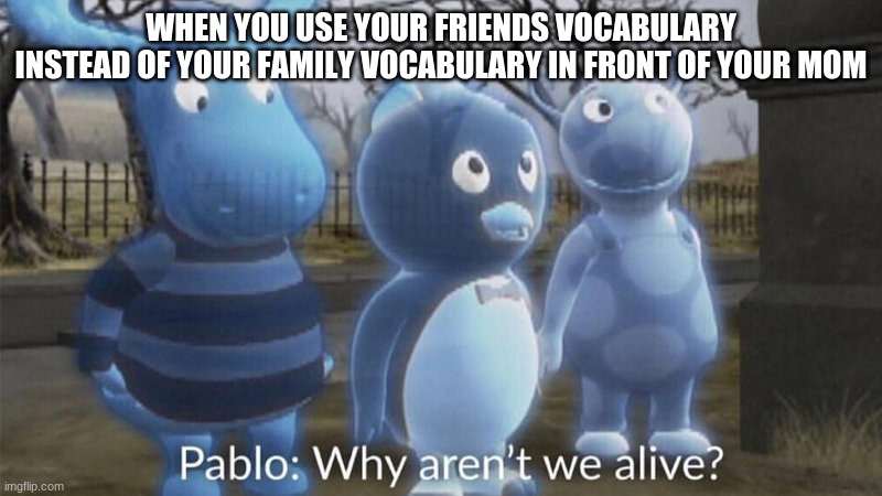 Pablo why aren't we alive? | WHEN YOU USE YOUR FRIENDS VOCABULARY INSTEAD OF YOUR FAMILY VOCABULARY IN FRONT OF YOUR MOM | image tagged in pablo why aren't we alive | made w/ Imgflip meme maker