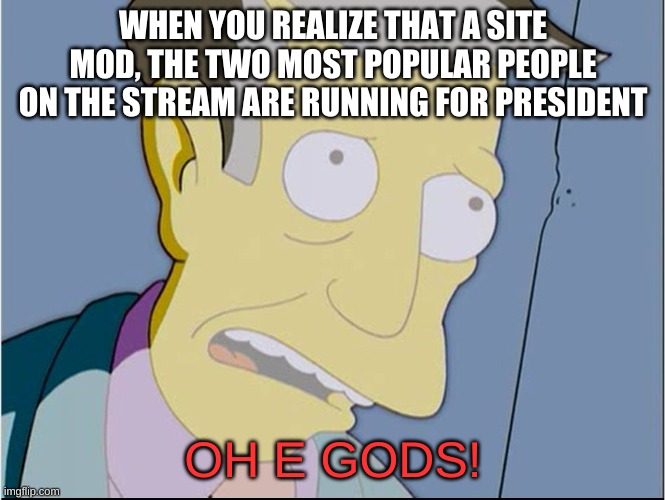 i wasnt gonna even run because i dont feel like i would do the position but dang it this election gonna be intresting | WHEN YOU REALIZE THAT A SITE MOD, THE TWO MOST POPULAR PEOPLE ON THE STREAM ARE RUNNING FOR PRESIDENT; OH E GODS! | image tagged in seymour | made w/ Imgflip meme maker