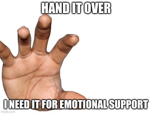 HAND IT OVER I NEED IT FOR EMOTIONAL SUPPORT | made w/ Imgflip meme maker