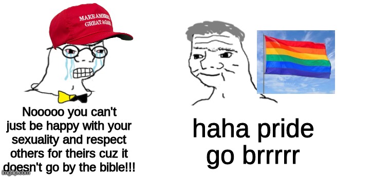get gayed on | Nooooo you can't just be happy with your sexuality and respect others for theirs cuz it doesn't go by the bible!!! haha pride go brrrrr | image tagged in nooo haha go brrr,pride,wojak | made w/ Imgflip meme maker