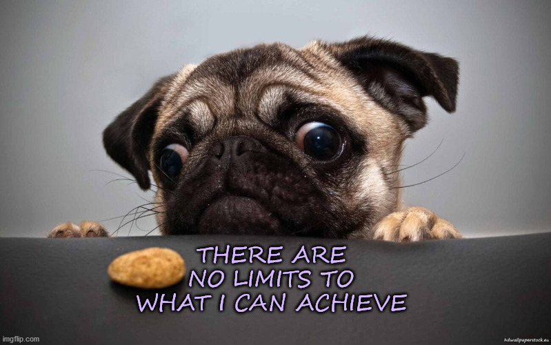 No limits | THERE ARE NO LIMITS TO WHAT I CAN ACHIEVE | image tagged in affirmation,limits,puppy,dog,treat,silly | made w/ Imgflip meme maker
