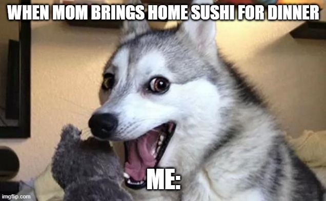 sushiiiii | WHEN MOM BRINGS HOME SUSHI FOR DINNER; ME: | image tagged in pun dog - husky,sushi | made w/ Imgflip meme maker