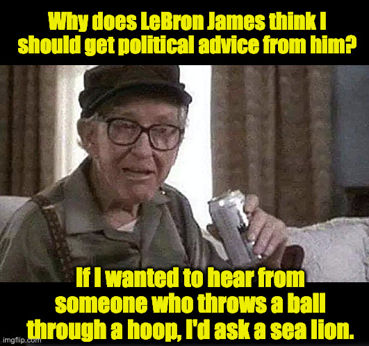 The Lyin' King | Why does LeBron James think I should get political advice from him? If I wanted to hear from someone who throws a ball through a hoop, I'd ask a sea lion. | image tagged in lebron james crying,politics,liberal idiot,all lives matter | made w/ Imgflip meme maker